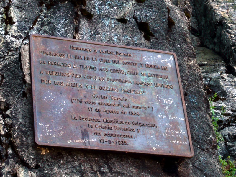 Fotografía 3 de PArque Nacional La Campana en Viña Del Mar, Valparaiso