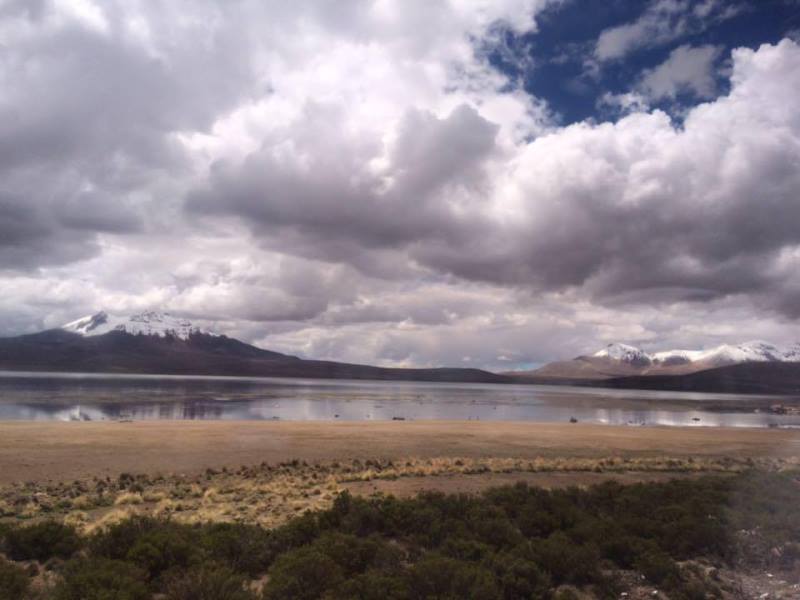 Fotografía 2 de Tour Lago Chungara en Arica, Arica Y Parinacota