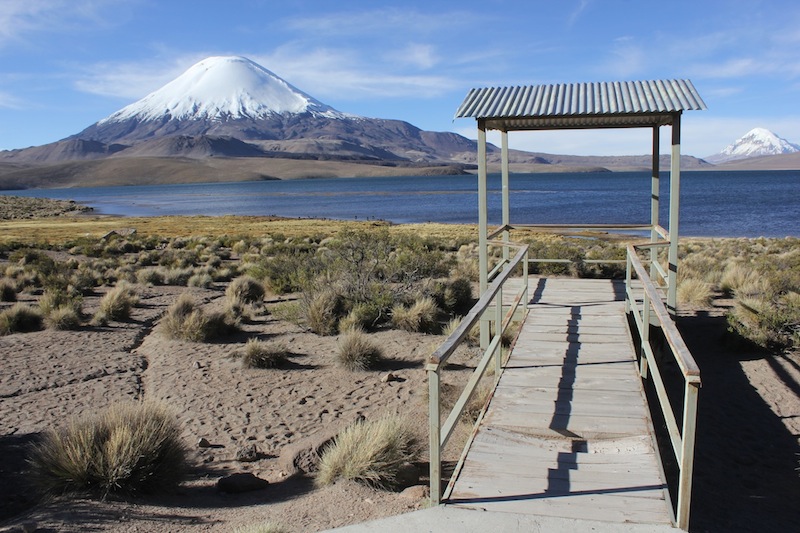 Fotografía 7 de Tour Lago Chungara en Arica, Arica Y Parinacota