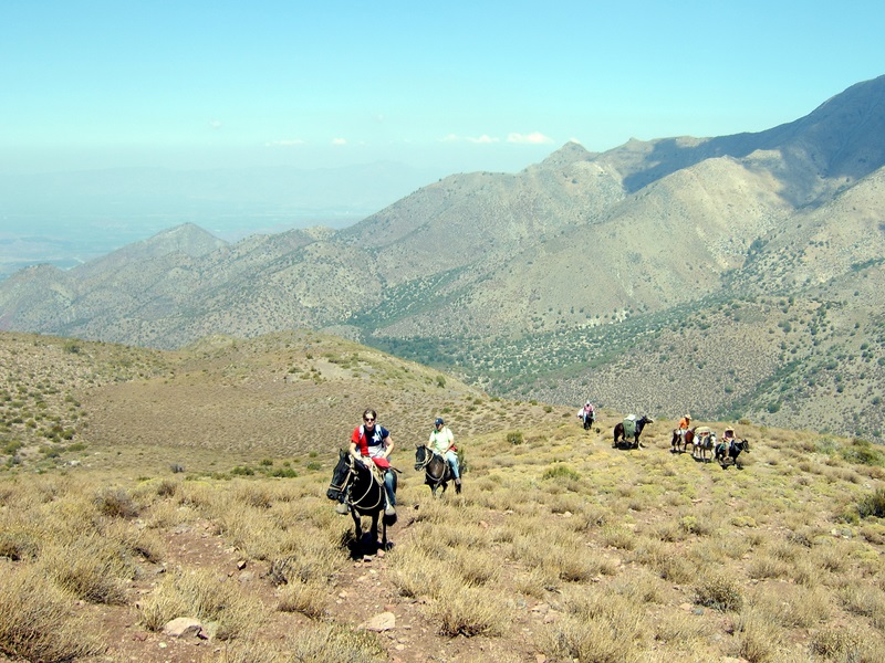 Fotografía 3 de Cabalgatas Cordillera de Los Andes V región en Viña Del Mar, Valparaiso
