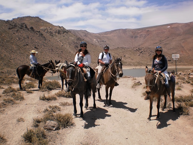 Fotografía 6 de Cabalgatas Cordillera de Los Andes V región en Viña Del Mar, Valparaiso