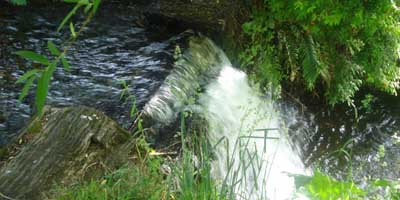 Fotografía 5 de Cabañas en Pucón en Pucon, Araucania