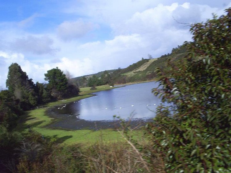 Fotografía 3 de Hospedaje Laguna Los Cisnes en Calbuco, Los Lagos