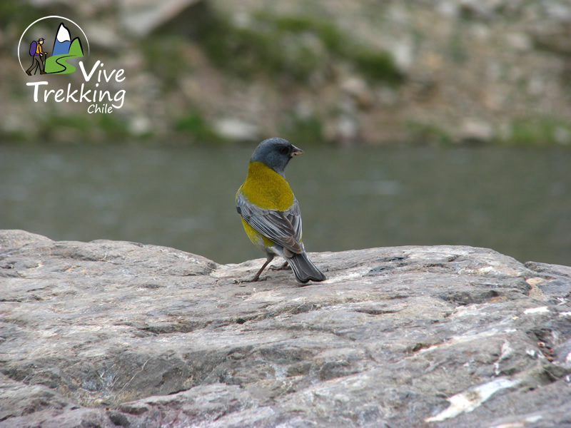 Fotografía 10 de Trekking en Región Metropolitana en Santiago, Metropolitana