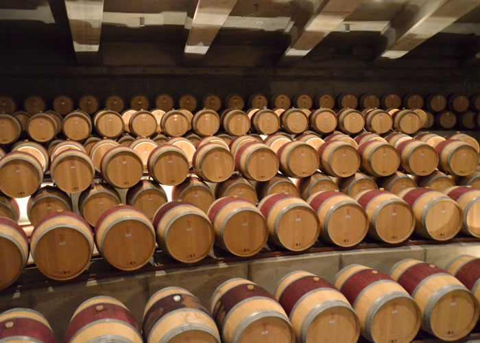Fotografía 10 de Tours de Vinos - Valle de Colchagua en Santa Cruz, Ohiggins