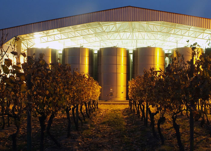 Fotografía 11 de Tours de Vinos - Valle de Colchagua en Santa Cruz, Ohiggins
