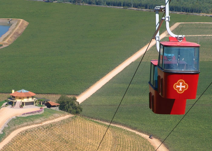 Fotografía 13 de Tours de Vinos - Valle de Colchagua en Santa Cruz, Ohiggins