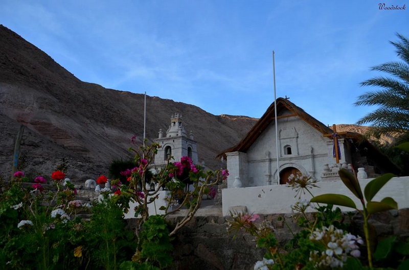 Fotografía 2 de Camping Tradicion Codpeña en Camarones, Arica Y Parinacota
