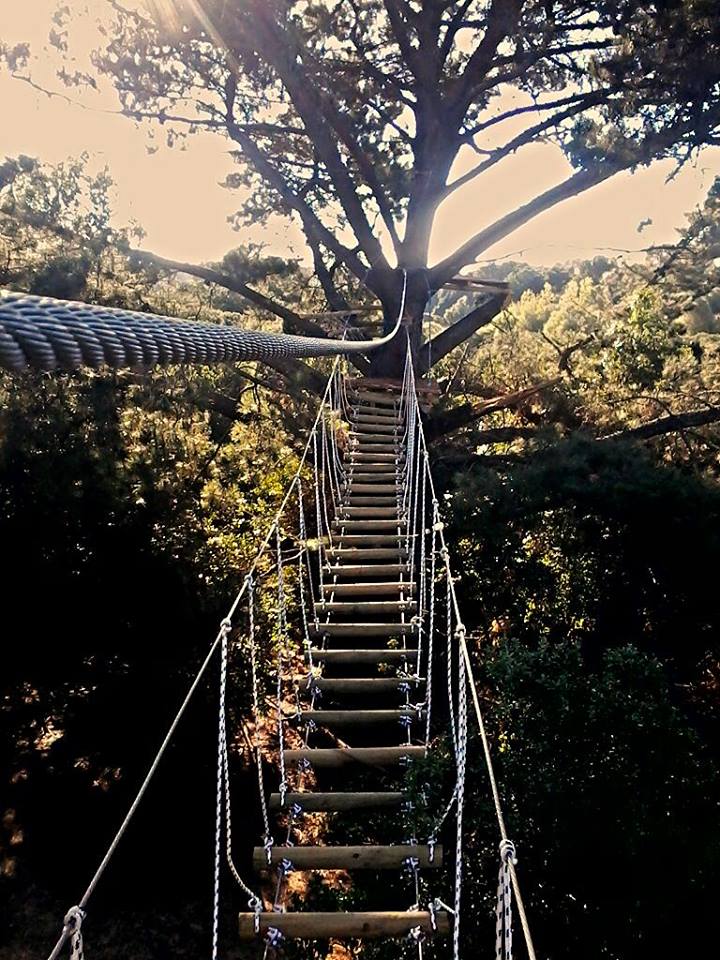 Fotografía 3 de Canopy y Trekking Agua Morena en Los Angeles, Bio Bio
