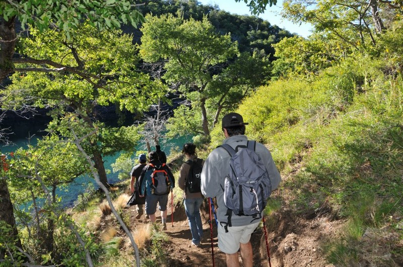 Fotografía 5 de Canopy y Trekking Agua Morena en Los Angeles, Bio Bio