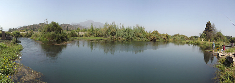 Fotografía 2 de Camping Laguna del Maipo - Isla de Maipo en Isla De Maipo, Metropolitana
