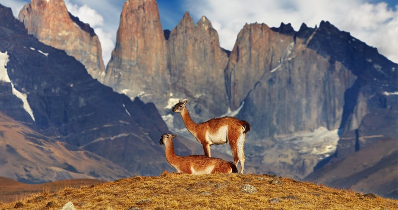 Fotografía 6 de Buses Regulares a Torres del Paine en Puerto Natales, Magallanes