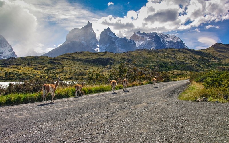 Fotografía 7 de Buses Regulares a Torres del Paine en Puerto Natales, Magallanes