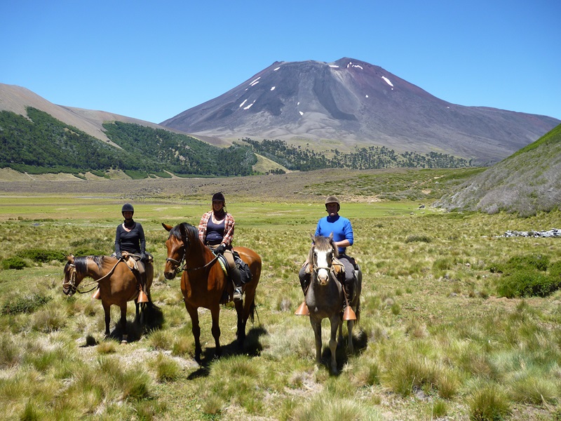 Fotografía 8 de Fundo Laguna Blanca en Curacautin, Araucania