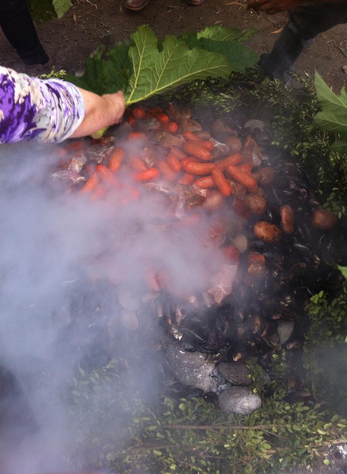 Fotografía 3 de Vive el cariño natural de Chiloe  en Ancud, Los Lagos