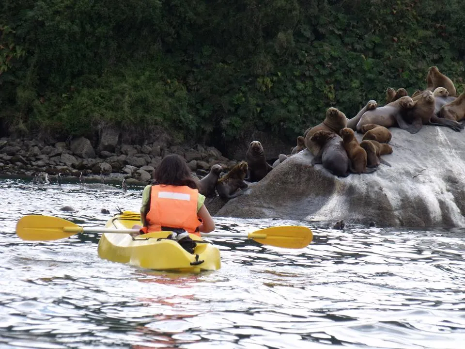 Fotografía 4 de Vive el cariño natural de Chiloe  en Ancud, Los Lagos