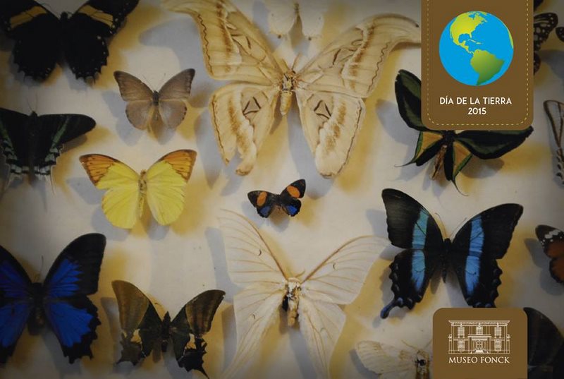 Fotografía 6 de Museo Fonck visitas guiadas  en Viña Del Mar, Valparaiso