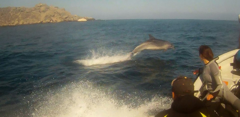 Fotografía 4 de Cabañas en Coquimbo, cerca de la playa. en La Higuera, Coquimbo