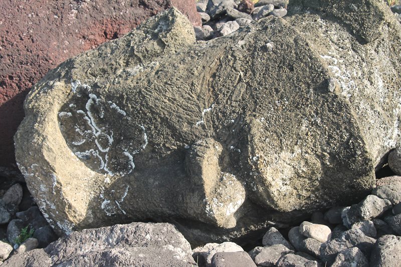 Fotografía 9 de Experiencia Vivida en Rapa Nui en Isla De Pascua, Valparaiso