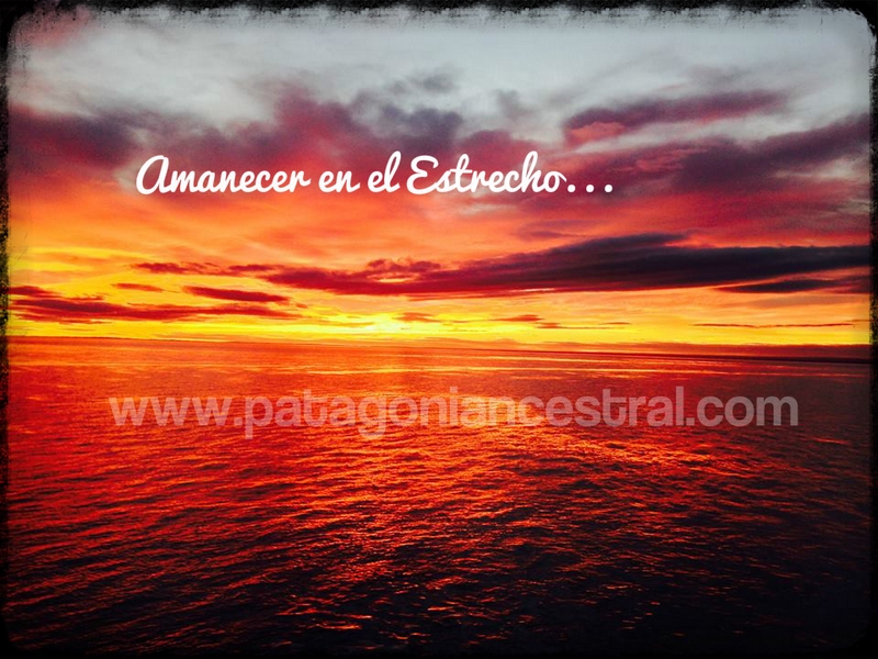 Fotografía 3 de Guía de Turismo y Conductor Guía Trilingue en Punta Arenas, Magallanes