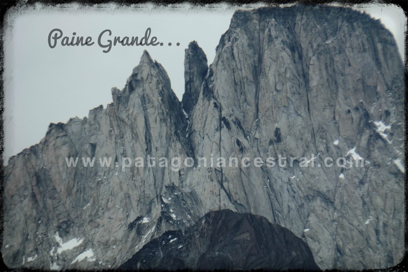 Fotografía 6 de Guía de Turismo y Conductor Guía Trilingue en Punta Arenas, Magallanes