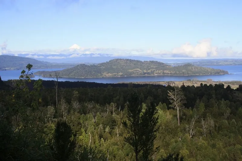Fotografía 11 de Contíctese con la entrada a la Patagonia chilena en Osorno, Los Lagos