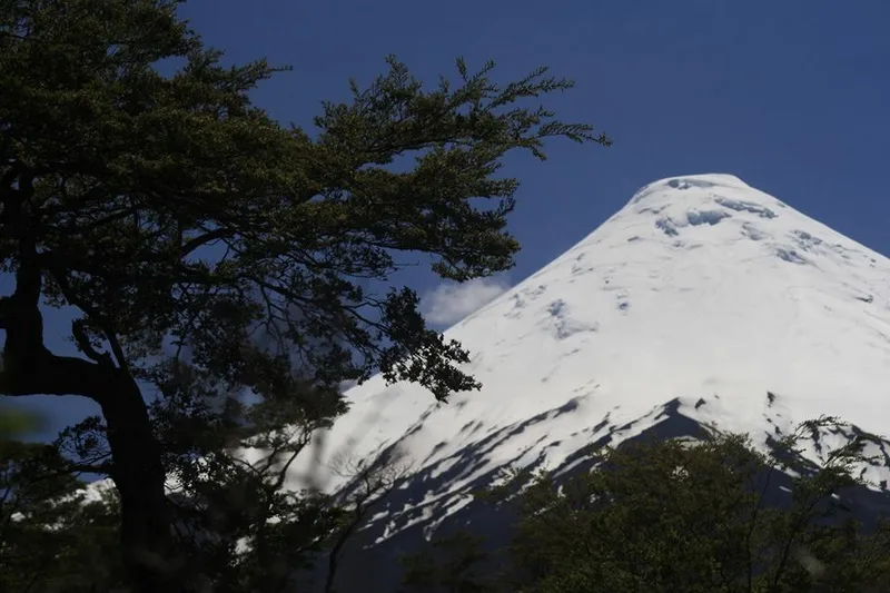 Fotografía 4 de Contíctese con la entrada a la Patagonia chilena en Osorno, Los Lagos