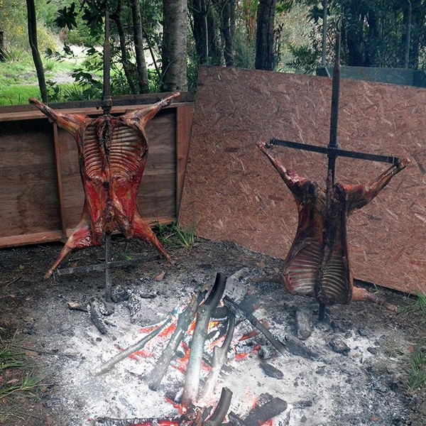 Fotografía 5 de Contíctese con la entrada a la Patagonia chilena en Osorno, Los Lagos