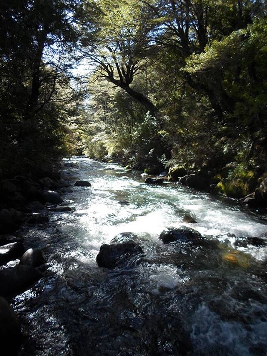 Fotografía 7 de Arriendo de cabañas en termas de Chillan en Chillan, Bio Bio