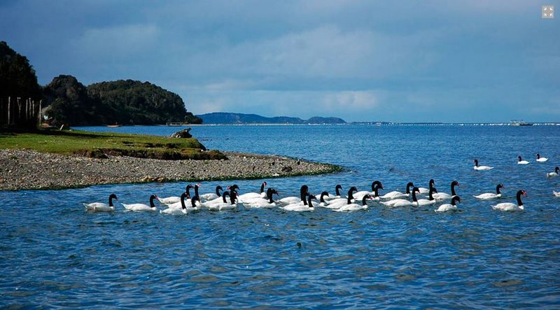 Fotografía 3 de Arriendo de Cabañas en Chiloe en Castro, Los Lagos