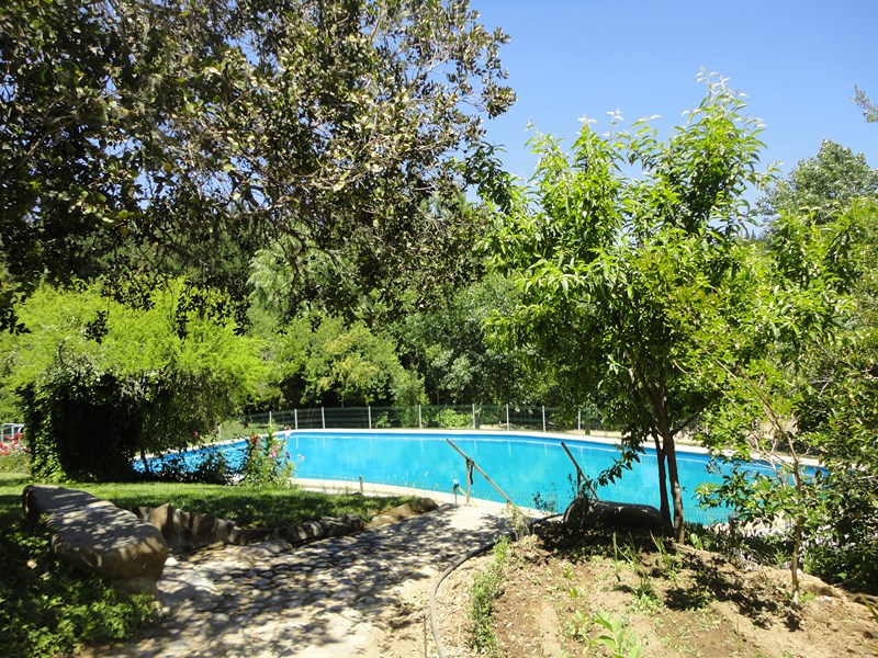 Fotografía 2 de Camping Entre Pinos - Curepto Talca  en Curepto, Maule