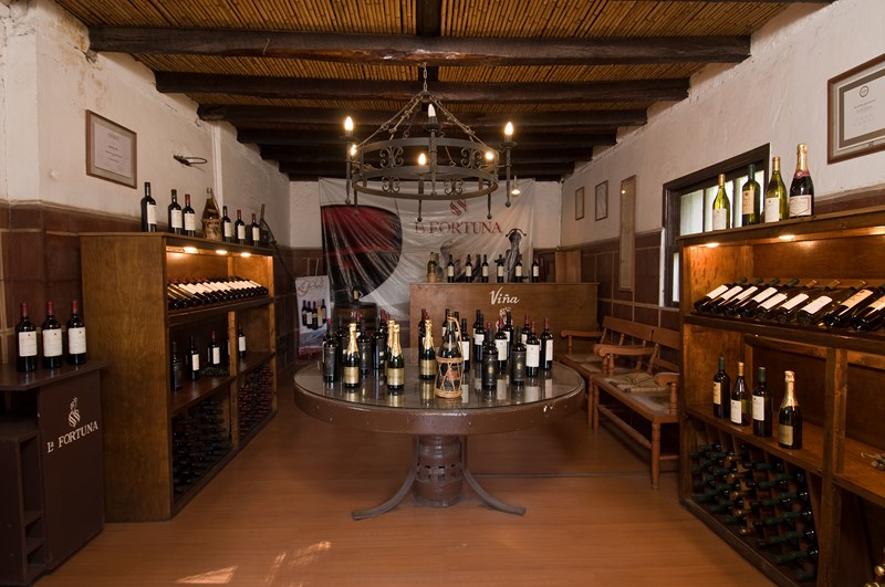 Fotografía 5 de Conoce nuestra Sala de Ventas en Sagrada Familia, Maule