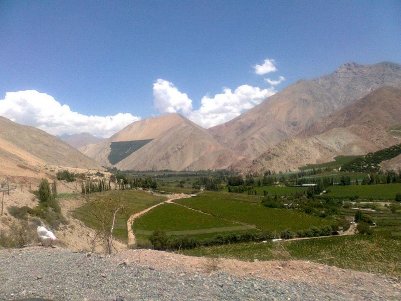 Fotografía 4 de Tour Valle del Elqui en La Serena, Coquimbo