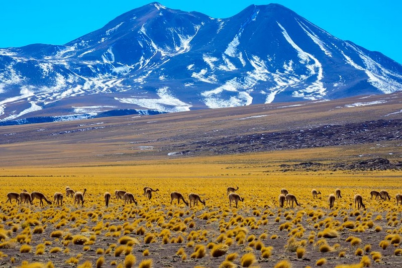 Fotografía 9 de Ven a San Pedro de Atacama  en San Pedro De Atacama, Antofagasta