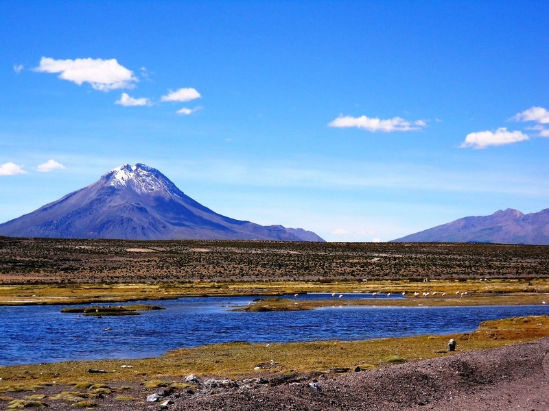 Fotografía 3 de Desierto Verde Expediciones Tour Operador  en Iquique, Tarapaca