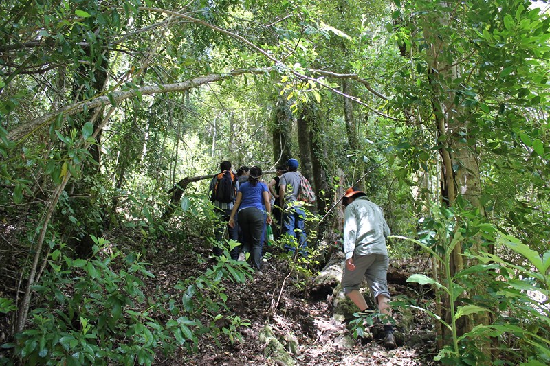 Fotografía 5 de Refugio Cordillera El Sarao en Fresia, Los Lagos