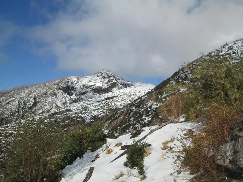 Fotografía 5 de soychaiten.com entrada a la patagonia en Chaiten, Los Lagos