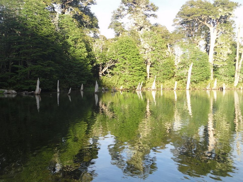 Fotografía 10 de Ecoturismo Curacautin en Curacautin, Araucania