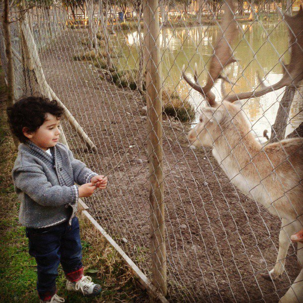 Fotografía 4 de Centro Ecoturistico Laguna Esmeralda - Melipilla en Melipilla, Metropolitana