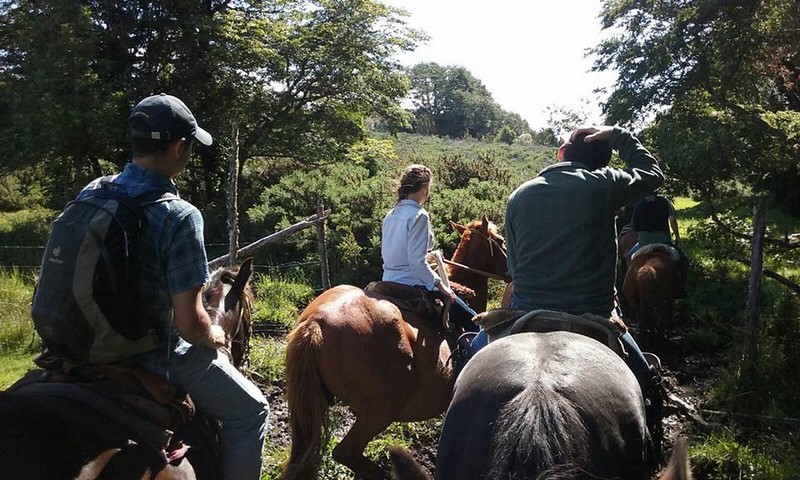 Fotografía 10 de Cabalgatas bosque nativo de Chiloe en Chonchi, Los Lagos