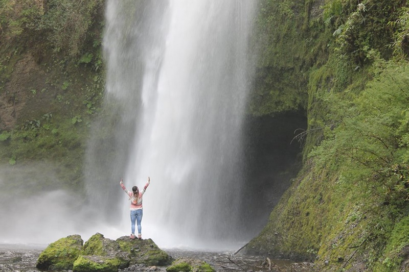 Fotografía 9 de Tour Reserva Biológica Huilo Huilo  en La Union, Los Rios