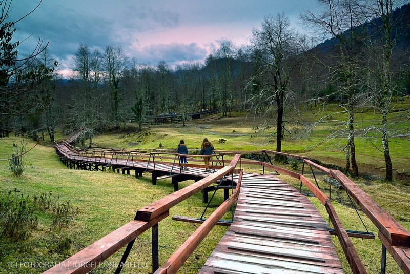 Fotografía 5 de Reserva Biológica Huilo-Huilo en Temuco, Araucania