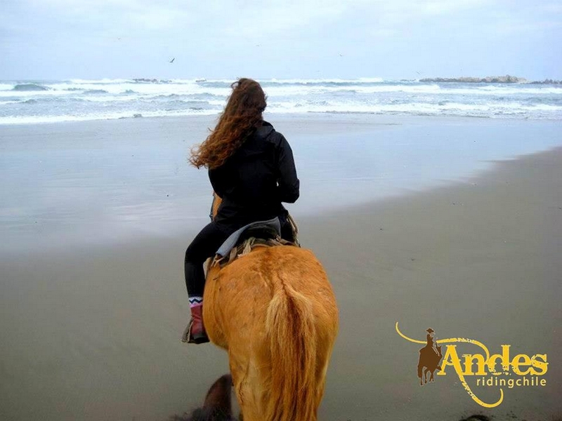 Fotografía 10 de Cabalgatas Andes Riding Chile en Viña Del Mar, Valparaiso