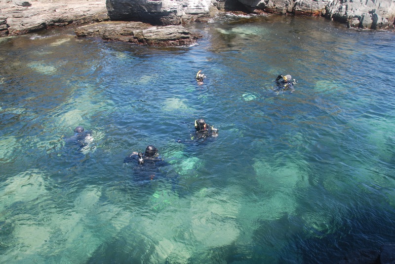Fotografía 5 de Escuela de Buceo Sub-Aqua Antofagasta en Antofagasta, Antofagasta