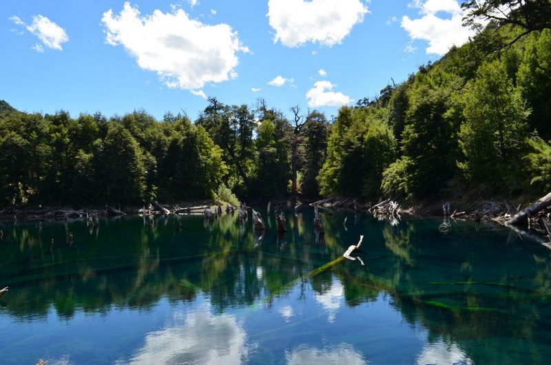 Fotografía 3 de Taxis y Transfer Aeopuerto Temuco, Araucania en Temuco, Araucania
