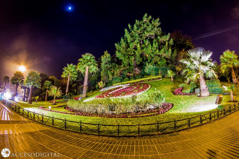 Fotografía 5 de City tour - Trekking - Canopi - Bicitour - Enoturismo - Pedidos especiales en Viña Del Mar, Valparaiso