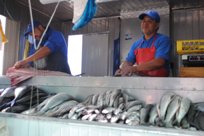 Fotografía 5 de Lodge Gourmet Vichuquen en Vichuquen, Maule