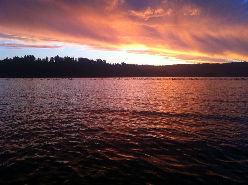 Fotografía 7 de Lodge Gourmet Vichuquen en Vichuquen, Maule