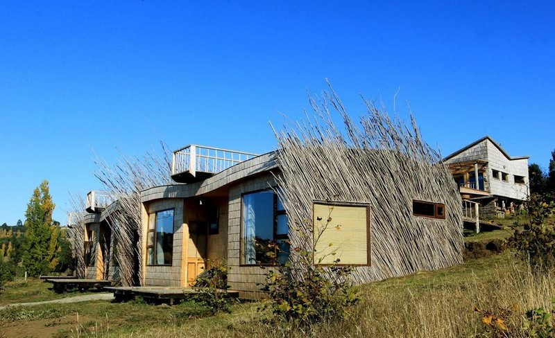 Fotografía 11 de Lodge de avistamiento de aves en Ancud, Los Lagos