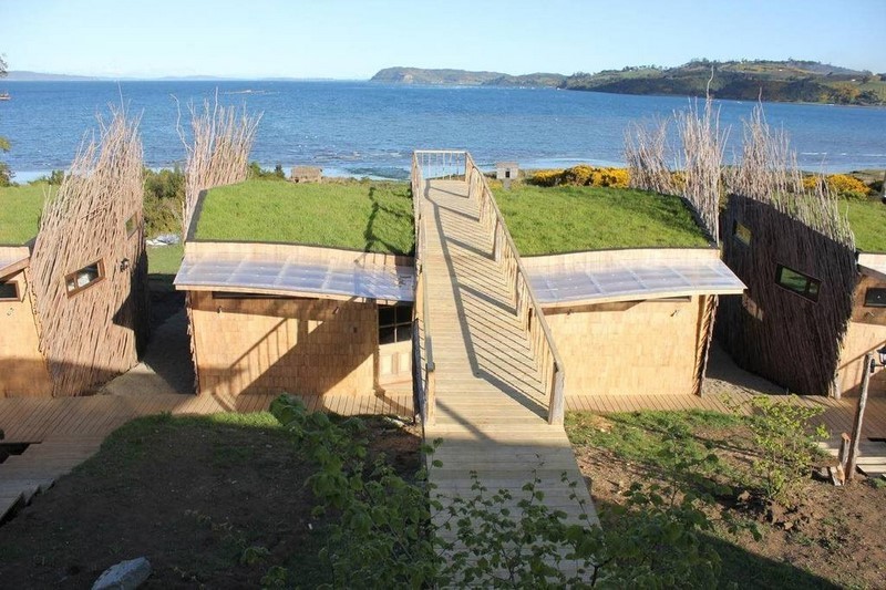 Fotografía 17 de Lodge de avistamiento de aves en Ancud, Los Lagos